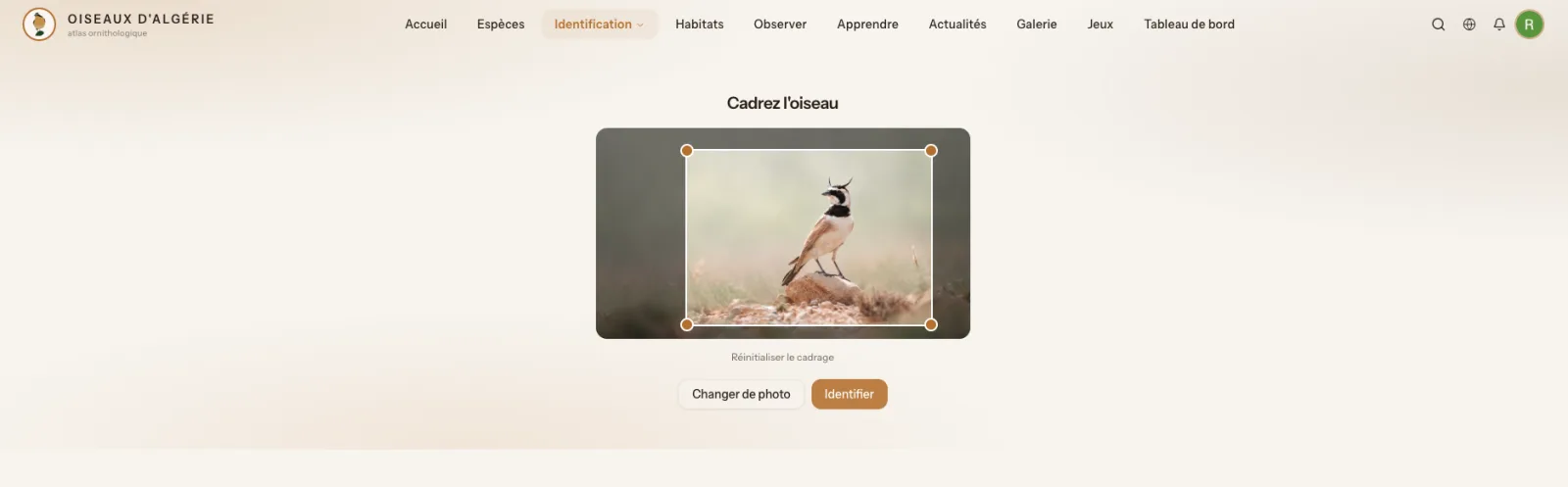 Aperçu du cadrage pour l'identification par IA